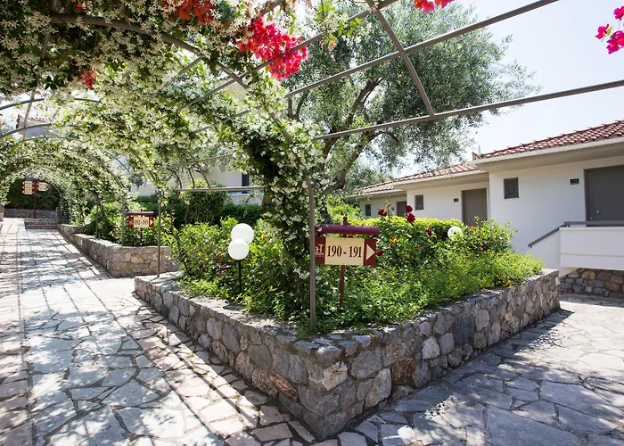 Akti Taygetos - Conference